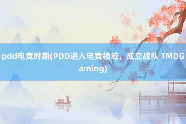 pdd电竞时期(PDD进入电竞领域，成立战队 TMDGaming)