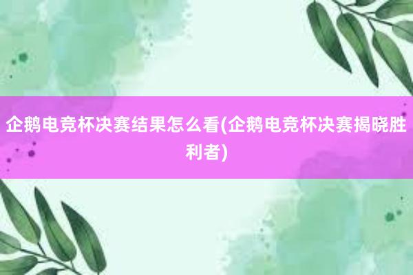 企鹅电竞杯决赛结果怎么看(企鹅电竞杯决赛揭晓胜利者)