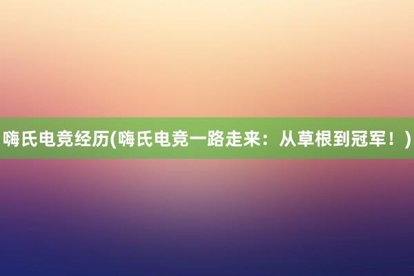 嗨氏电竞经历(嗨氏电竞一路走来：从草根到冠军！)