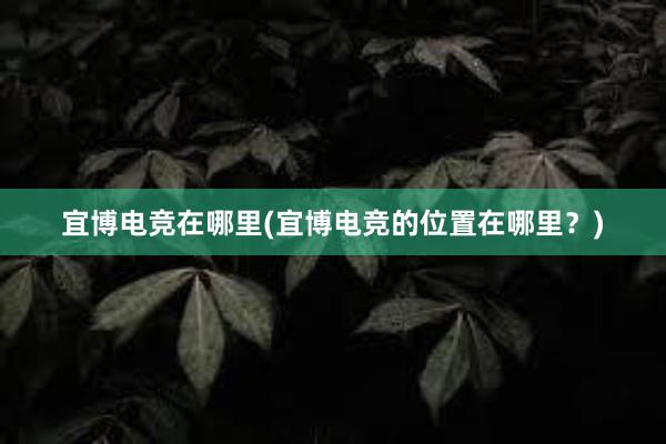 宜博电竞在哪里(宜博电竞的位置在哪里？)