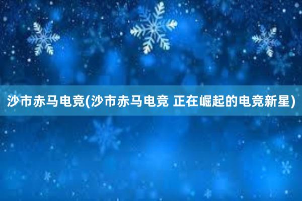 沙市赤马电竞(沙市赤马电竞 正在崛起的电竞新星)