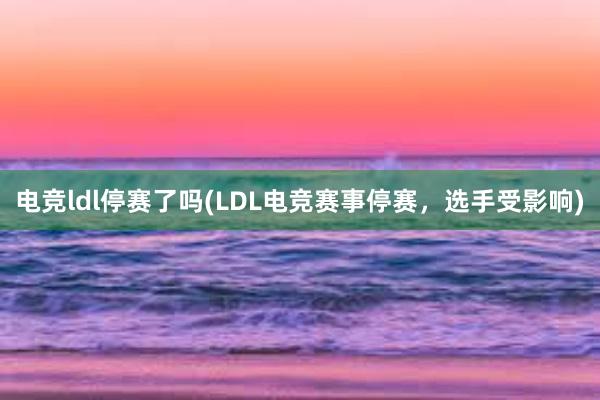 电竞ldl停赛了吗(LDL电竞赛事停赛，选手受影响)