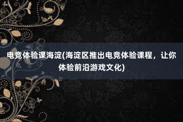 电竞体验课海淀(海淀区推出电竞体验课程，让你体验前沿游戏文化)