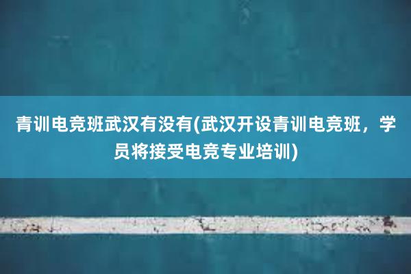 青训电竞班武汉有没有(武汉开设青训电竞班，学员将接受电竞专业培训)