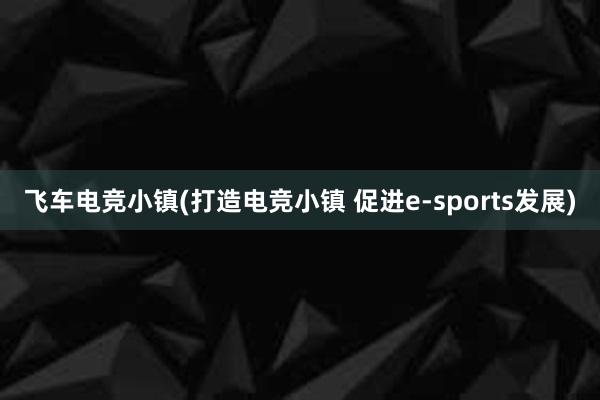 飞车电竞小镇(打造电竞小镇 促进e-sports发展)