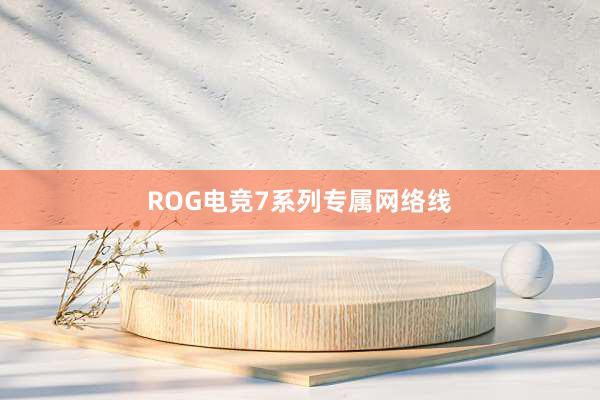 ROG电竞7系列专属网络线