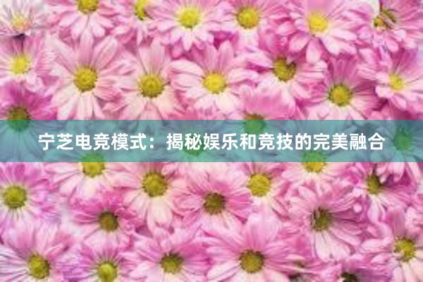 宁芝电竞模式：揭秘娱乐和竞技的完美融合