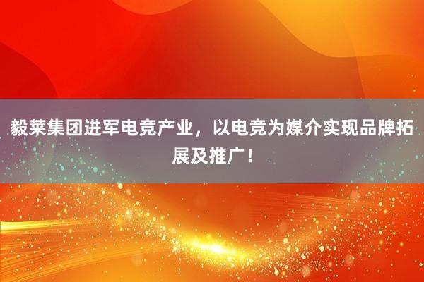 毅莱集团进军电竞产业，以电竞为媒介实现品牌拓展及推广！