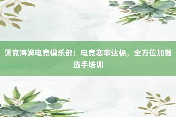 贝克海姆电竞俱乐部：电竞赛事达标，全方位加强选手培训